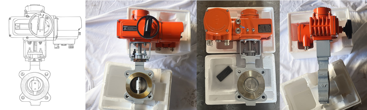 High-Performance DN80 Class 150 WCB Soft-Sealed Lug-Type Double Eccentric Butterfly Valve