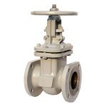 EAC DN80-DN300 PN10-PN25 Russian Standard (GOST) Cast Steel Wedge Flange Hand Operated Gate Valve